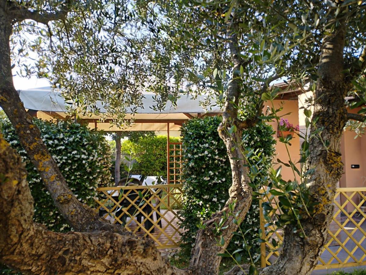 Melody House - Dependance Villa Castel del Bosco  Ngoại thất bức ảnh